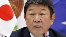 為替レート、日本経済に影響あり今後も注視＝茂木経済再生相