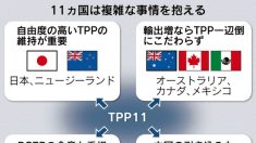 TPP交渉が最終段階へ　茂木財経相、カナダに協力促す