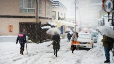 【スコップ爆売れ】今週末も首都圏で雪の予報　ホームセンターでは対策グッズ特需