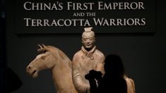 英リバプールで中国の兵馬俑の展示会、約10年ぶり