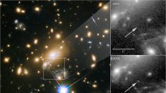 単独恒星で最遠の青色超巨星を観測、地球から93億光年