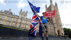 英有権者の半数、離脱合意・残留の是非問う国民投票を支持＝スカイ