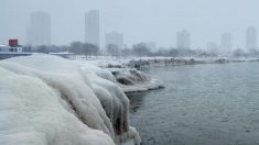 米中西部にマイナス40度超える厳しい寒波、シカゴでも学校閉鎖