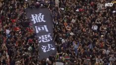 【動画ニュース】香港200万人の大規模デモ 中国メディアは沈黙