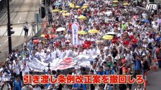 【動画ニュース】香港で103万人デモ 97年以降最大規模