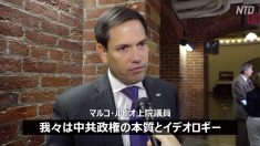 【動画ニュース】米国会上院議員「中共は法輪功迫害をやめるべき」