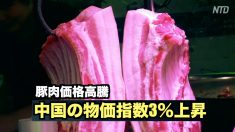 【動画ニュース】豚肉価格高騰 中国の物価指数3％上昇