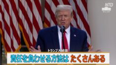 トランプ大統領「中共に責任を負わせる方法はたくさんある」