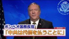 ポンペオ長官「中共は代価を払うことに」「WHOは構造改革必要」