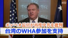 ポンペオ長官が再度中共を批判 台湾のWHA参加を支持