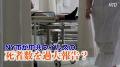 ニューヨーク市が中共ウイルスの死者数を過大報告？