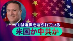 ポンペオ長官「米国か中共か EUは選択を迫られている」