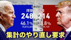 選挙に大規模不正が発生か トランプ陣営は集計のやり直しを要求