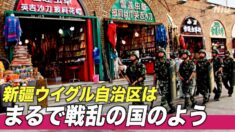 「新疆はまるで戦乱の国」元中国企業幹部の体験談（１）