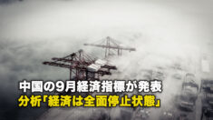 中国の9月経済指標が発表 分析「経済は全面停止状態」