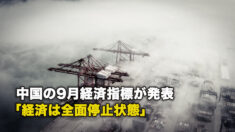 中国の9月経済指標が発表 「経済は全面停止状態」